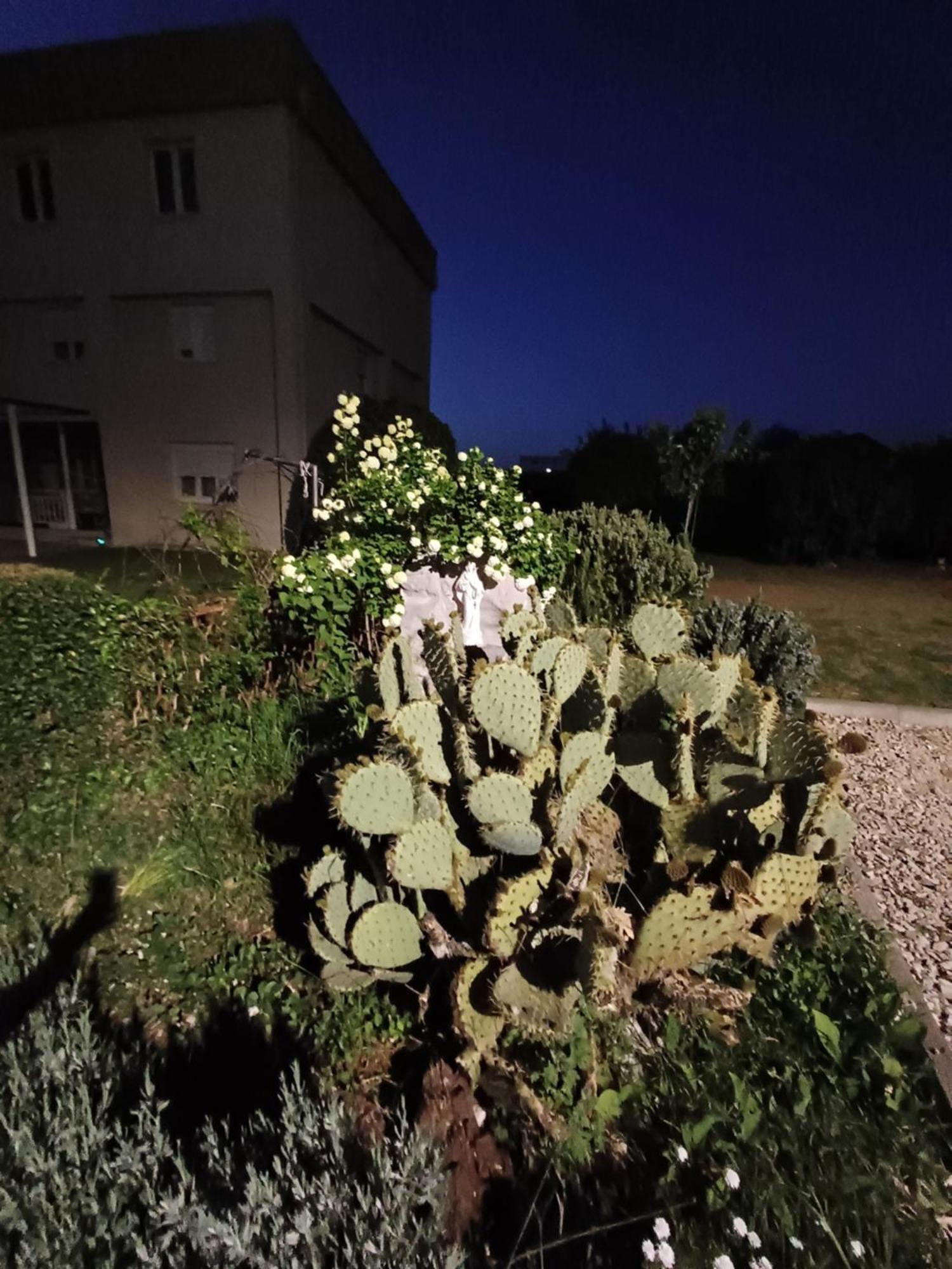 Villa Ana Medjugorje Exterior foto