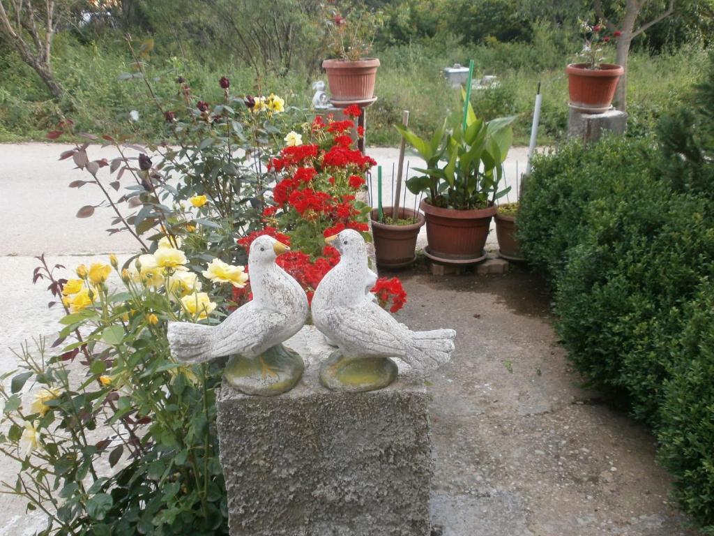 Villa Ana Medjugorje Exterior foto