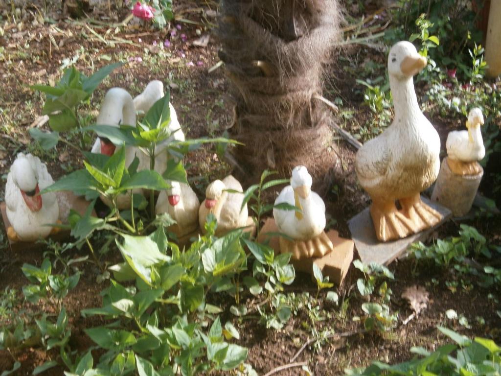 Villa Ana Medjugorje Exterior foto