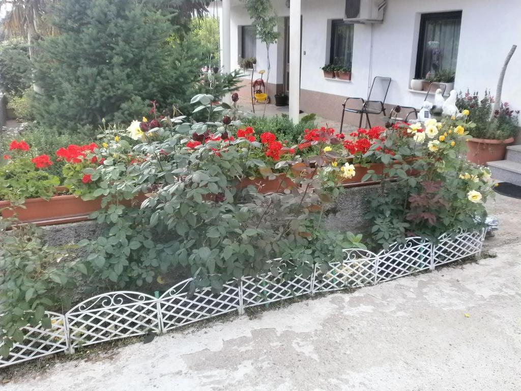 Villa Ana Medjugorje Exterior foto